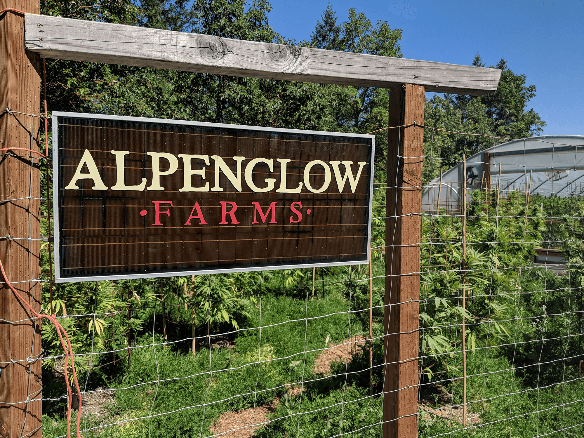 Alpenglow Cannabis Farm